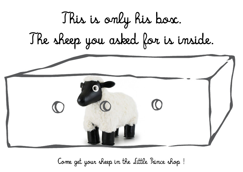 sheep in the box