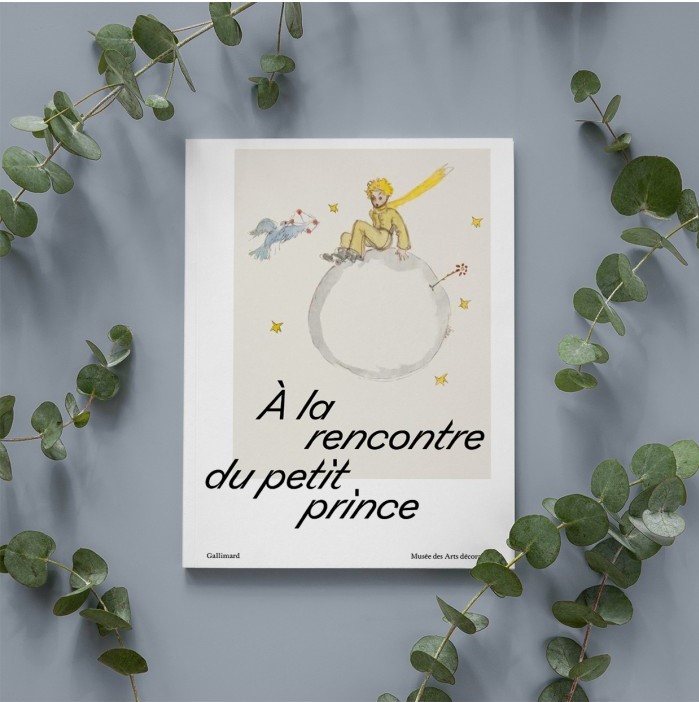 Exhibition Catalogue : Meet The Little Prince (French Edition)