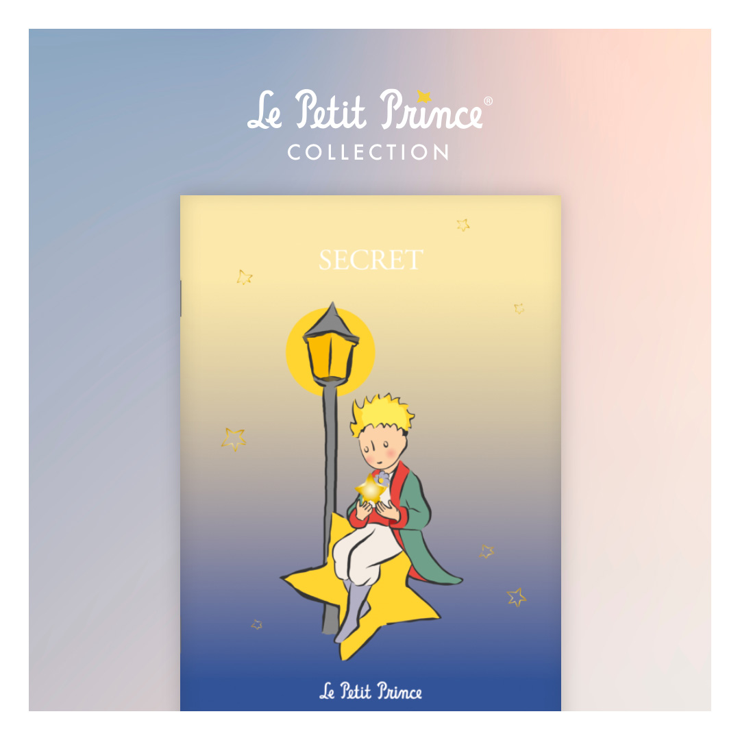 New The Little Prince Password Notebook