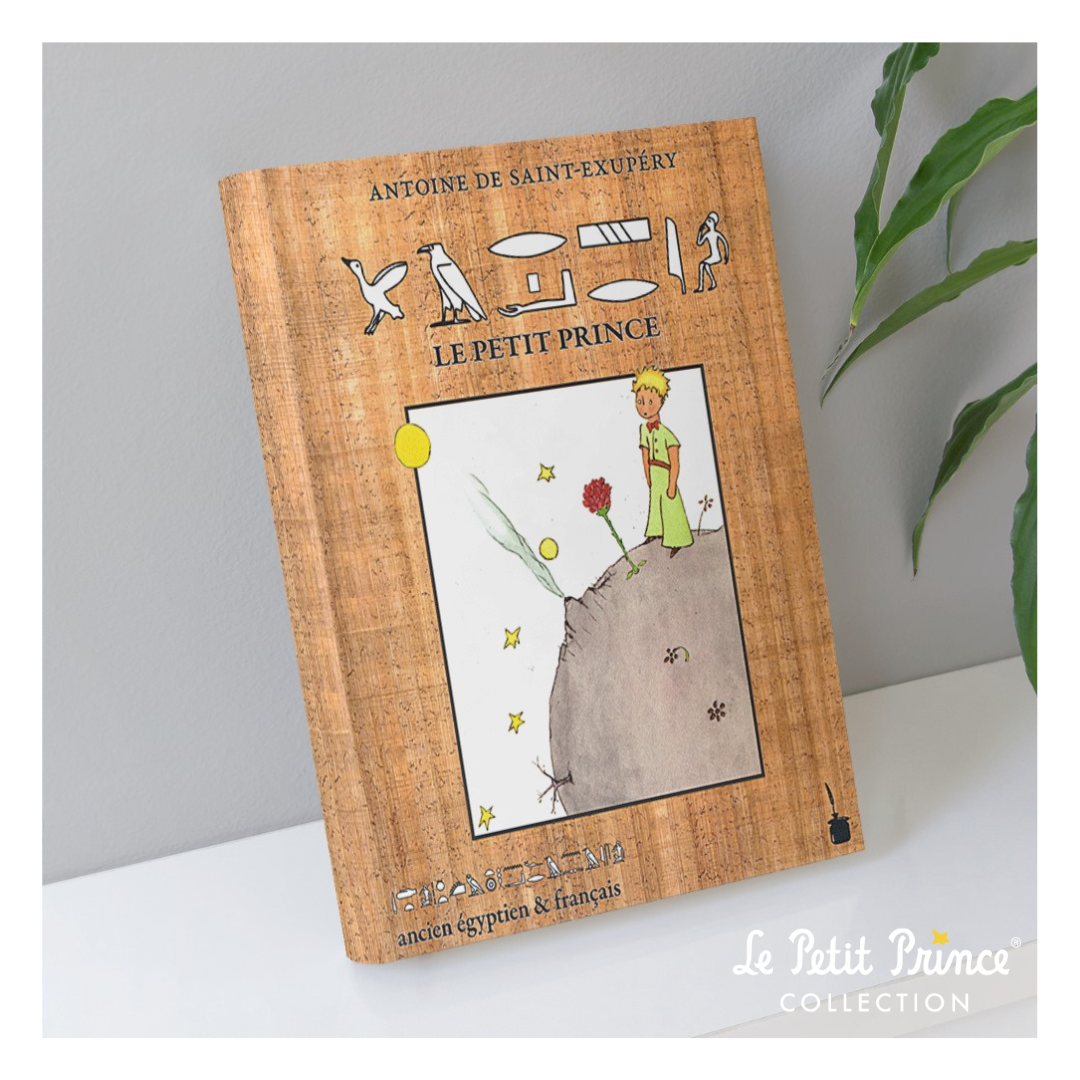 The Little Prince in hieroglyphics already available!